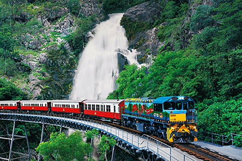 Day Tour To Kuranda, Rainforest And Port Douglas With Flight - Holiday Cairns 4