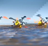 Kangaroo Island Self-Guided Kayaking on the Harriet River - Holiday Cairns