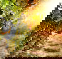 Kangaroo Island Half Day Food and Wine Trail Tour - Holiday Cairns