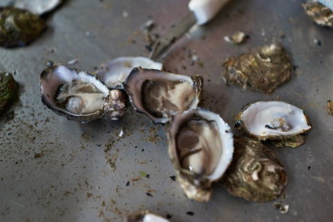 Fine Flavours - Full Day Kangaroo Island Food & Wine Tour - Holiday Cairns 10