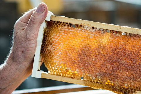 Fine Flavours - Full Day Kangaroo Island Food & Wine Tour - Holiday Cairns 0