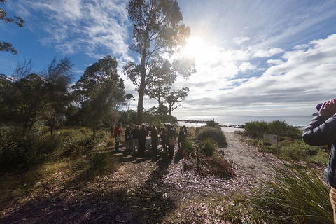 Bruny Island Day Tour, Includes Lunch And Exclusive Lighthouse Tour - Holiday Cairns 15