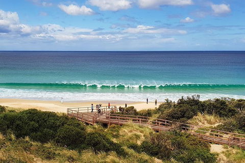 Bruny Island Day Tour, Includes Lunch And Exclusive Lighthouse Tour - Holiday Cairns 4