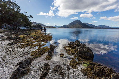 Southwest Tasmania Wilderness Experience: Fly Cruise And Walk Including Lunch - Holiday Cairns 10