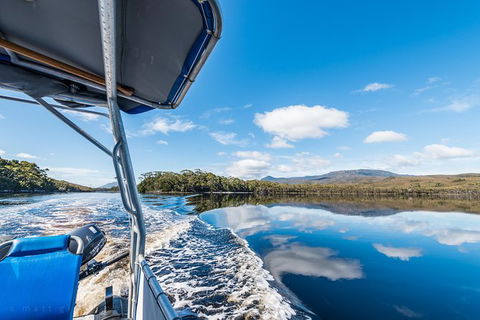 Southwest Tasmania Wilderness Experience: Fly Cruise And Walk Including Lunch - Holiday Cairns 13