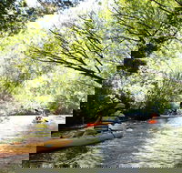 Paddle with the Platypus Twilight Kayak Adventure - Holiday Cairns