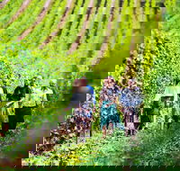 Tasmanian Wine Tour - Holiday Cairns