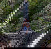 Tahune Airwalk Active Day Trip from Hobart Including Hastings Caves - Holiday Cairns
