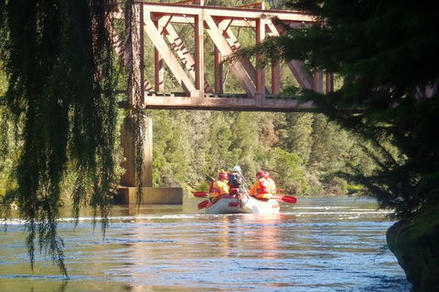 King River Rafting Day Trip From Queenstown To Strahan And Return Including The West Coast Wilderness Railway - Holiday Cairns 1