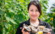 Full Day Tour Hobart: East Coast Classic Wine, Beach, Oysters, Seafood & Berries - thumb 19