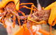 Full Day Tour Hobart: East Coast Classic Wine, Beach, Oysters, Seafood & Berries - thumb 12