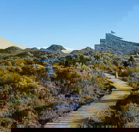 Hartz Mountains premium private photo-oriented day tour from Hobart - Holiday Cairns