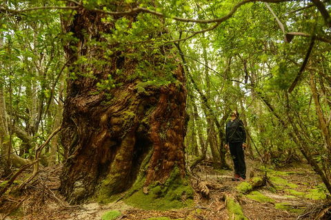 3-Day Southwest National Park Wilderness Camping Tour - Holiday Cairns 4