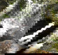 Waterfalls Guided Tour - Holiday Cairns