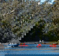 Twin Rivers Adventure - Holiday Cairns