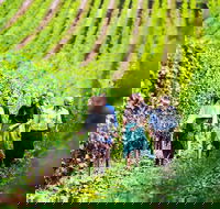 Hobart Highlights of Tasmanian Wine Full Day Tour - Holiday Cairns