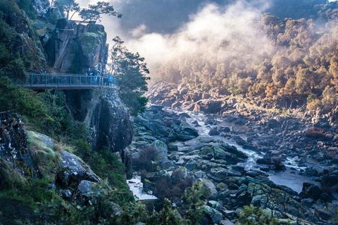 3.5 Hours Walking Tour To Cataract Gorge With Local Guide - Holiday Cairns 0