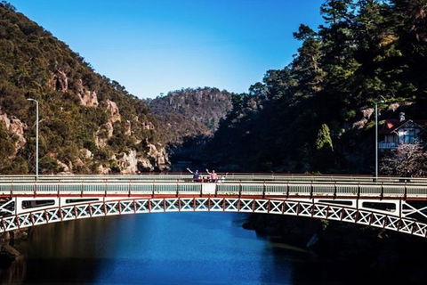 3.5 Hours Walking Tour To Cataract Gorge With Local Guide - Holiday Cairns 5