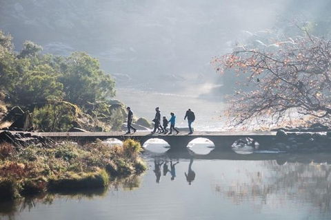 3.5 Hours Walking Tour To Cataract Gorge With Local Guide - Holiday Cairns 4