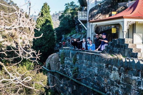 3.5 Hours Walking Tour To Cataract Gorge With Local Guide - Holiday Cairns 3