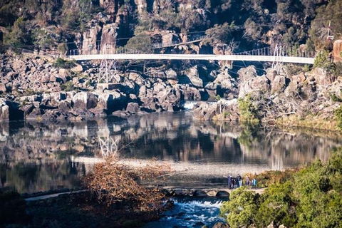 3.5 Hours Walking Tour To Cataract Gorge With Local Guide - Holiday Cairns 2