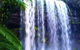 Hobart Minibus Full-Day Private Tour - thumb 5