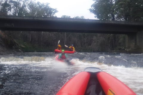 Twin Rivers Winter Adventure - Holiday Cairns 4
