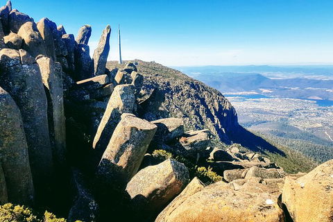Mt. Wellington Morning Hike + Afternoon Beer & History Walk - Holiday Cairns 11