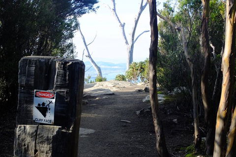 Mt. Wellington Morning Hike + Afternoon Beer & History Walk - Holiday Cairns 14