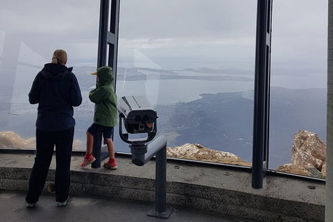 Mt. Wellington Morning Hike + Afternoon Beer & History Walk - Holiday Cairns 17