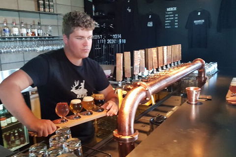 Mt. Wellington Morning Hike + Afternoon Beer & History Walk - Holiday Cairns 19