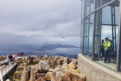 Mt. Wellington Morning Hike + Afternoon Beer & History Walk - Holiday Cairns 12