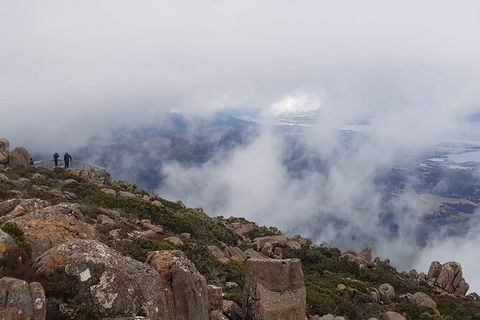 Mt. Wellington Morning Hike + Afternoon Beer & History Walk - Holiday Cairns 18