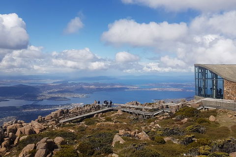 Mt. Wellington Morning Hike + Afternoon Beer & History Walk - Holiday Cairns 3