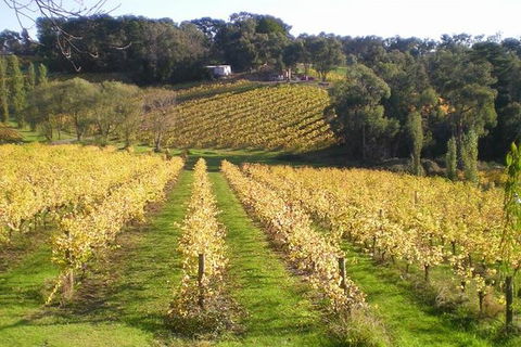 Macedon Ranges Winery Tour From Melbourne - Holiday Cairns 1