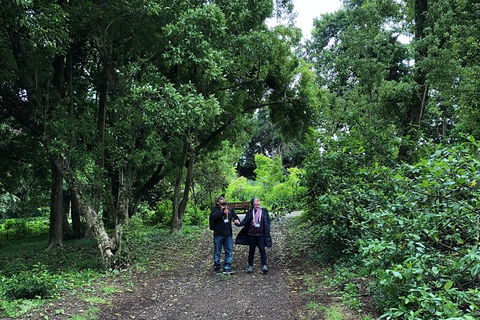 Alices Journeys Guided Walking Tours Of Daylesford - Holiday Cairns 5