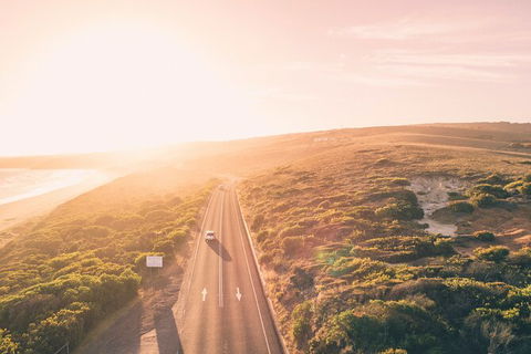 LGBT+ Friendly 2 Day Private Great Ocean Road Tour - Holiday Cairns 1