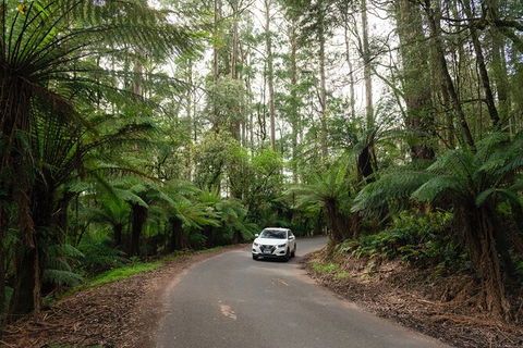 LGBT+ Friendly 3 Day Tour The Grampians, Daylesford & Ballarat - Holiday Cairns 1