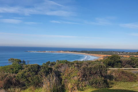 Private Great Ocean Road And Chocolaterie Tour With Tasting - Holiday Cairns 5