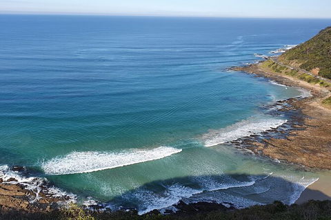 Private Great Ocean Road And Chocolaterie Tour With Tasting - Holiday Cairns 7
