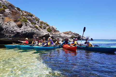 Rottnest Glass Bottom Kayaking Tour - Holiday Cairns 0