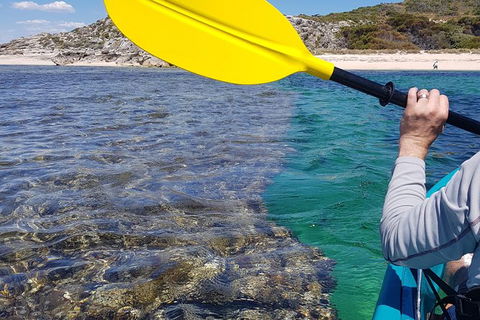 Rottnest Glass Bottom Kayaking Tour - Holiday Cairns 3