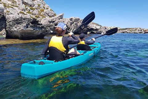 Rottnest Glass Bottom Kayaking Tour - Holiday Cairns 4