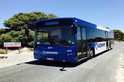 Rottnest Island Bayseeker Day Trip From Perth - Holiday Cairns 4