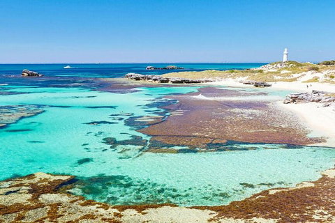 Rottnest Island Bayseeker Day Trip From Perth - Holiday Cairns 7