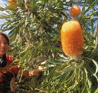 Best of Perth Wildflower Season Day Trip - Holiday Cairns