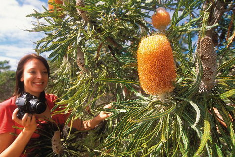 Best Of Perth Wildflower Season Day Trip - Holiday Cairns 0