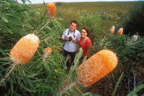 Best Of Perth Wildflower Season Day Trip - Holiday Cairns 6