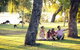 Full-Day Pinnacles Desert And Yanchep National Park Tour From Perth - thumb 1