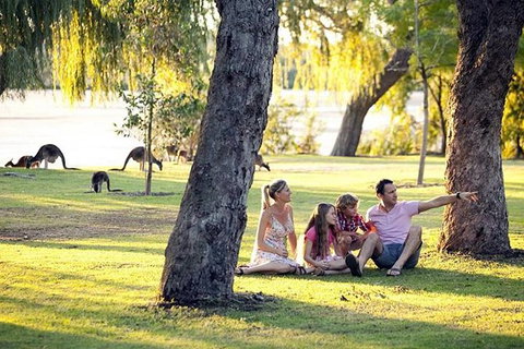 Full-Day Pinnacles Desert And Yanchep National Park Tour From Perth - Holiday Cairns 1